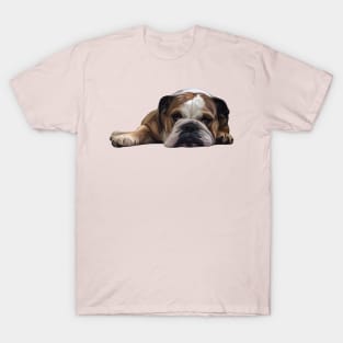 Lazy English Bulldog T-Shirt